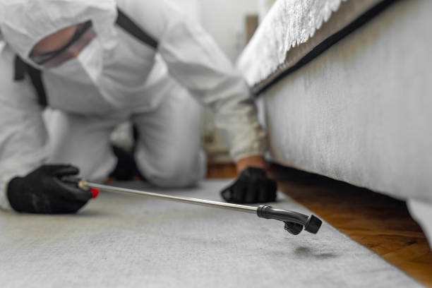 Professional Cockroach Control technician working in Fitchburg, WI