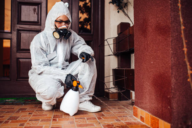 Reliable Cockroach Control contractor in Fitchburg, WI by Nex Pest Control